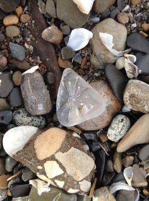 sea glass photo contest gallery