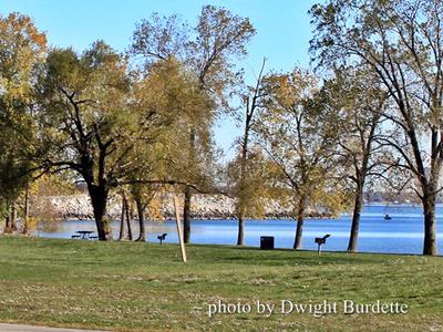 Sterling State Park Michigan Picnic Area