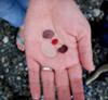 Addie's two rare red and her very rare purple sea glass