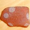 Does anyone know what this spotted sea glass was?