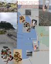 Days Bay Beach, Wellington, New Zealand Sea Glass