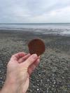 Hampton New Hampshire Sea Glass Find