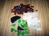 Glass gathered on Nokomis Beach/Casey Key