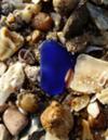 Sargent Beach, Texas, Cobalt Blue Beach Glass