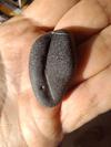 Gibraltar Sea Glass Identication Query
