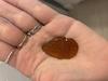 Newport mystery sea glass with B
