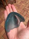 Sea Glass Cone - inside smooth, outside pitted