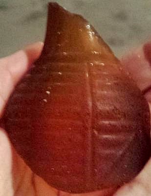 What is the Origin of this Sea Glass Bottle Shard?