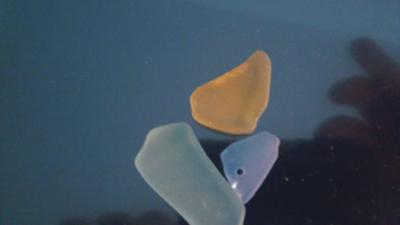 Yellow stands out! - February 2012 Sea Glass Photo Contest
